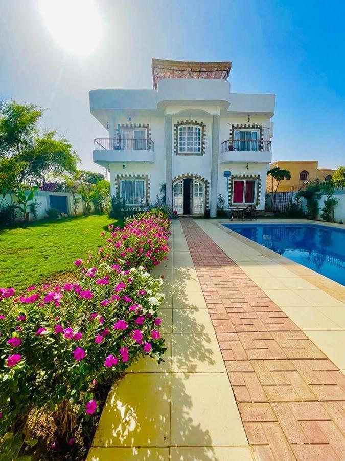 Ali Luxury Villa Λούξορ Εξωτερικό φωτογραφία
